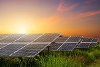 A stock image of a solar farm
