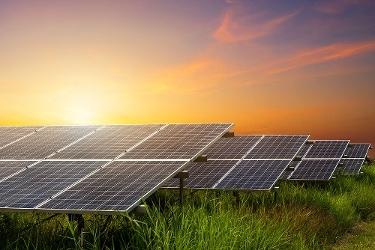 A stock image of a solar farm