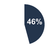 46% Pie Chart