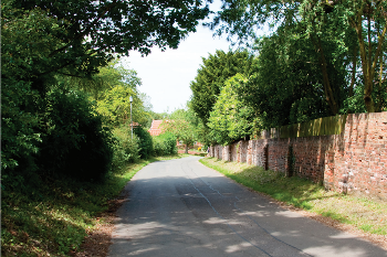 A rural road with trees and hedges overhanging the grass verges either side of the road.