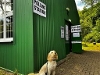 Dog at green hut Polling Station