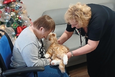 21 Purrrfect companions 21 Purrrfect companions