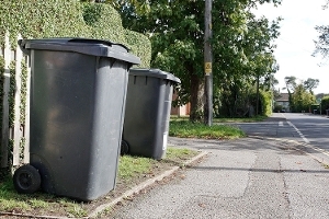 2025 - black bins on a street
