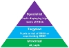 levels of EBSA support