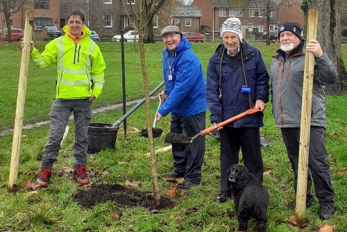 2025 - Stroud Green Italian Poplar tree replanting
